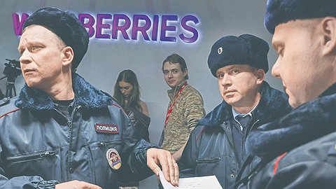 Wildberries в буреломах